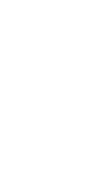 seepferdchen